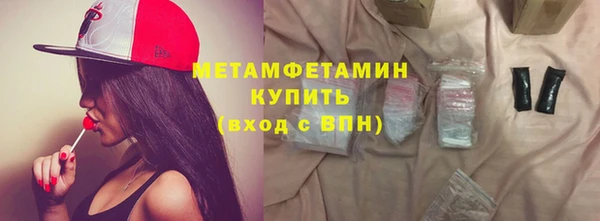 прущие грибы Белокуриха