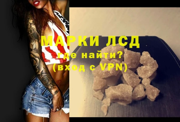 прущие грибы Белокуриха