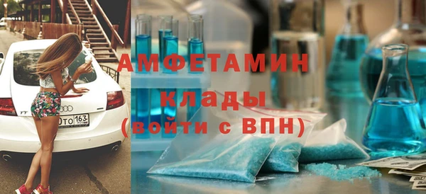 прущие грибы Белокуриха